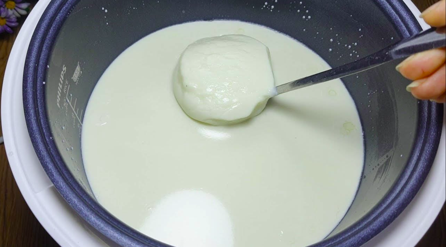 cách ủ sữa chua bằng nồi cơm điện cách ủ sữa chua bằng nồi cơm điện